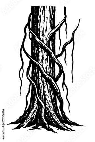 A striking black and white illustration, woodcut style, depicting a robust tree trunk intensely entwined with thick, winding vines and dramatic aerial roots. Detailed bark textures and expansive groun