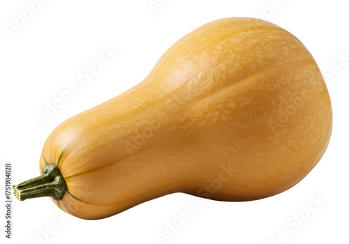 Fresh Butternut Squash with Smooth and Creamy Texture