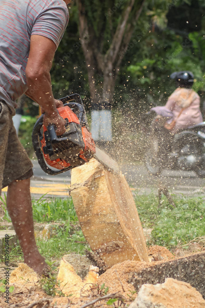 Obraz premium A worker powerfully operates a chainsaw to slice through a large tree trunk, with sawdust flying, highlighting intense manual labor and forestry.