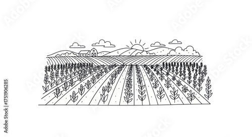 Hand-drawn illustration of a wheat field landscape with mountains and sun.
