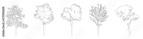 Architectural Tree Outline Drawing Set for Landscape and Architecture Design