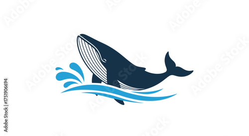 Humpback Whale Breaching Water Showing Baleen Plates.