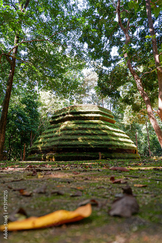 A nature trail in the forest with ancient sites and greenery from natural ferns.