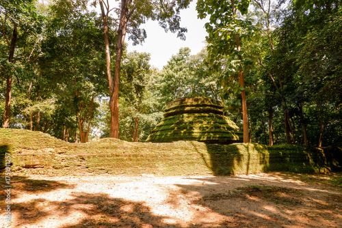 A nature trail in the forest with ancient sites and greenery from natural ferns.