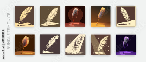 vector feather decorative illustration
