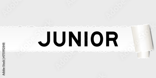 Fotografia Ripped gray paper background that have word junior under torn part