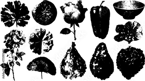 Vintage botanical engraving featuring various plants and fruits in a black and white color scheme. This set of simple shapes highlights the vector illustration style.