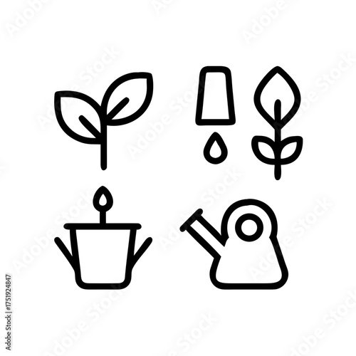 Four icons representing a plant, water drop, seedling, and watering can