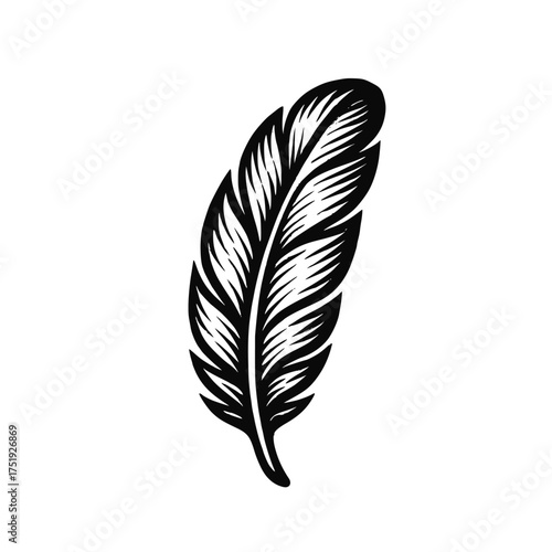 Chicken feather vector. Vintage style feather with grunge texture