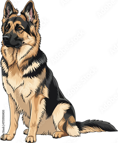 East European Shepherd dog sitting alert cute vector illustration