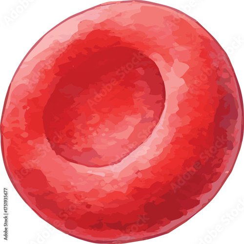 Watercolor vector illustration of a red blood cell