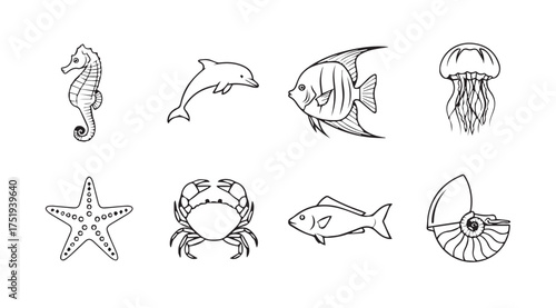 Collection of hand drawn sketch style sea creatures dolphin seahorse fish jellyfish crab starfish nautilus vector