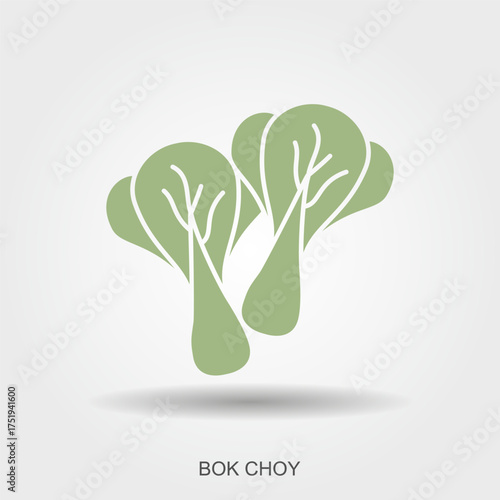 Flat vector illustration of bok choy vegetable. Simple green leafy cabbage icon for food design, healthy eating, restaurant menu, or Asian cuisine concepts.