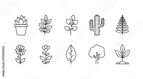 Hand drawn botanical elements collection artistic sketch style for nature designs vector