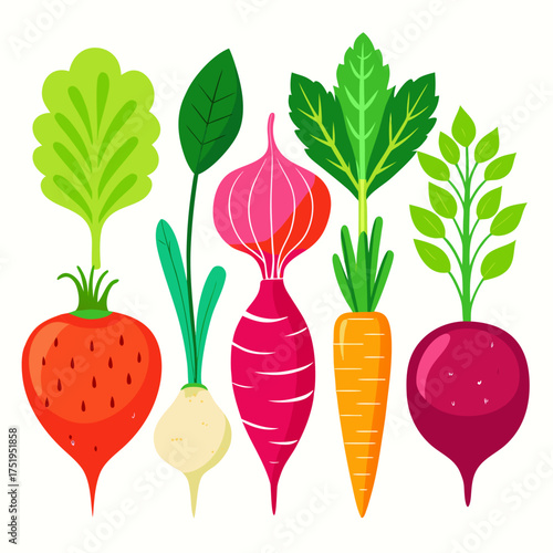 Fresh root vegetables illustration healthy organic produce garden harvest vector art