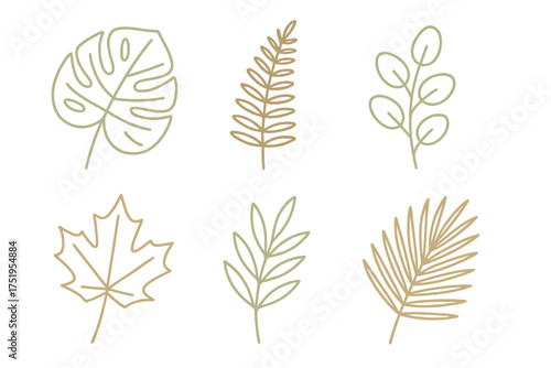 Minimalist collection of tropical and deciduous leaves in simple line art style