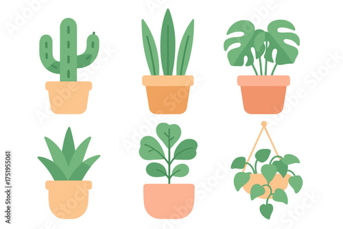 Collection of six popular indoor potted plants in various terracotta containers and hanging baskets
