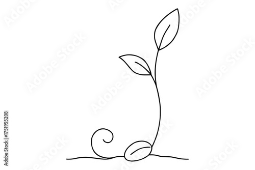 Line Drawing of a Young Plant,
vector illustration of a plant,
Continuous Line Art Symbolizing Growth and Serenity