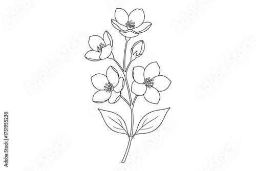 vector illustration of a flower, continuous art of a flower