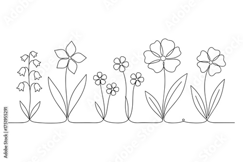 Line Drawing of Wildflowers,
vector illustration of a flower,
Continuous Line Botanical Illustration of Simplicity and Serenity