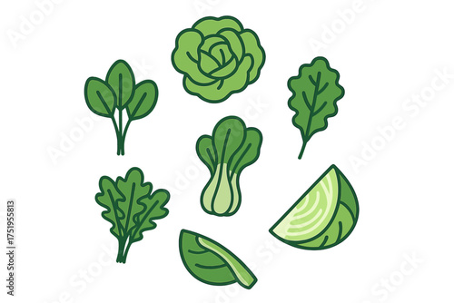 Assortment of fresh green leafy vegetables including spinach, lettuce, and bok choy