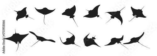 stingray silhouette art design vector