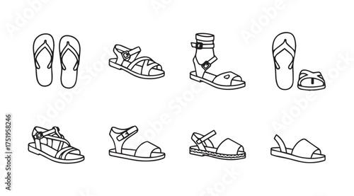 Collection of footwear styles diverse sandals and flip-flops for summer fashion vector