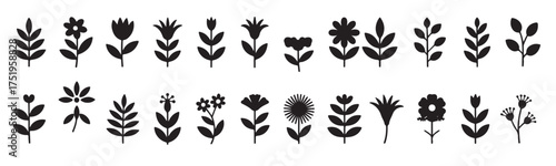 thirty black floral silhouettes botany illustrations set 