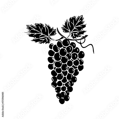 Black grape bunch silhouette