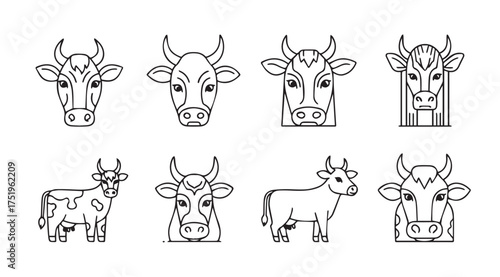 Set of eight cow head and body sketches for farm or livestock themed designs vector