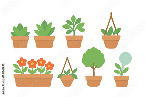 Various potted houseplants and garden flowers in terracotta pots on white background