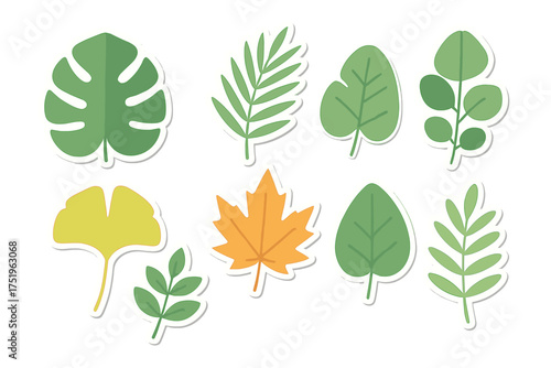 Stylized collection of green and yellow foliage shapes including tropical and deciduous plant elements