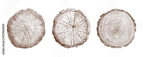 Vector illustration set of detailed wood texture cross sections showing tree rings, natural growth patterns, forest elements and organic structure for eco design and environmental concepts