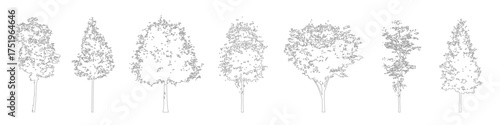 Minimal CAD tree drawings, side view outline trees for architectural and landscape plans