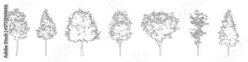 Fototapeta Minimal CAD tree drawings, side view outline trees for architectural and landscape plans