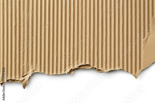 Torn corrugated cardboard edge background for design texture