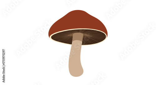 A simple illustration of a mushroom with a brown cap and a pale stem.