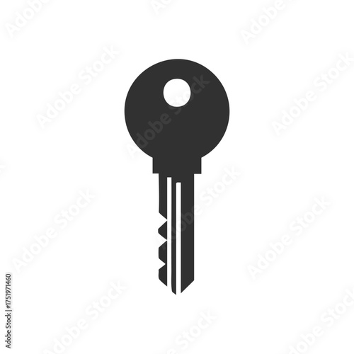 (Key Symbol of Access and Security. A clean digital graphic of a classic unlocking device. It signifies access, protection, solutions, and unlocking potential or secrets.)