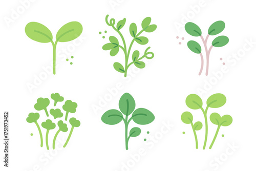 Set of fresh green sprouts and microgreens representing organic food and healthy eating concept