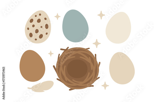 Boho collection of bird eggs, empty nest, and feather in earthy natural colors for spring Easter