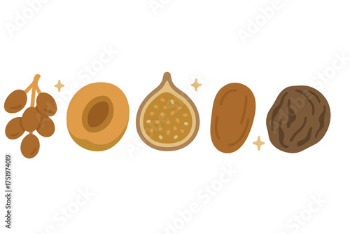 Nutritious assortment of dried fruits including dates, apricot, fig, and raisin arranged horizontally
