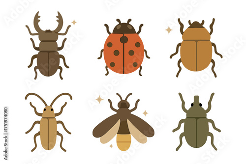 Six cute stylized beetles and insects including ladybug stag beetle and firefly