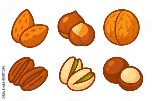 Collection of various healthy nuts and seeds including almond hazelnut walnut pecan pistachio macadamia