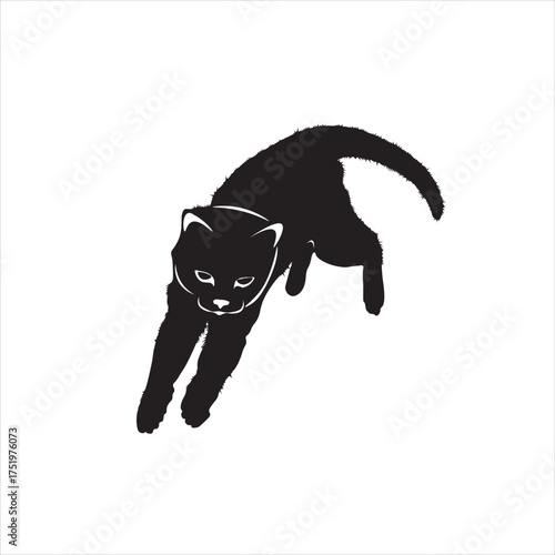this cat jumps