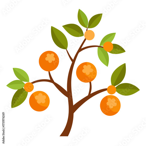 Orange fruit tree branch blossom leaf floral nature ripe fresh vector on white background.