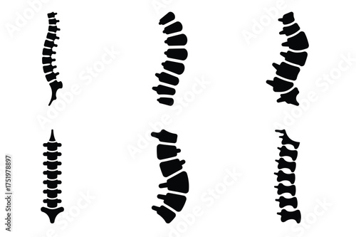Spine silhuette vector icon set