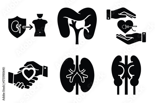 Organ transplant silhuette vector icon set