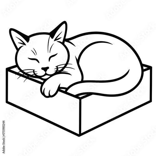 Realistic sleeping cat illustration in box, minimal details, black and white vector, suitable for cutting plotter