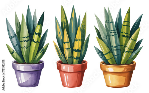 Vibrant watercolor Sansevieria plants in colorful pots, perfect for modern home decor and botanical design projects