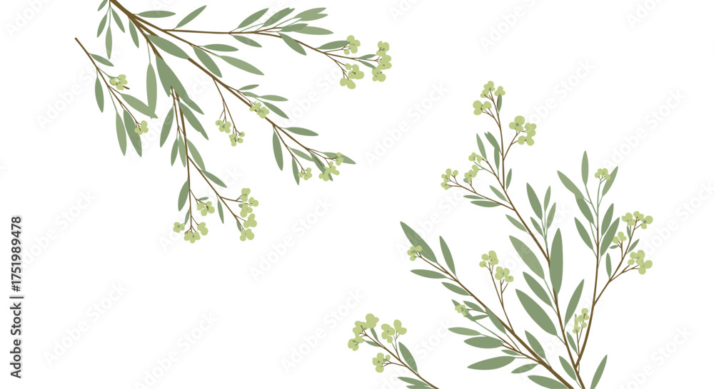 Naklejka premium Delicate branches adorned with tiny green buds reach outward.